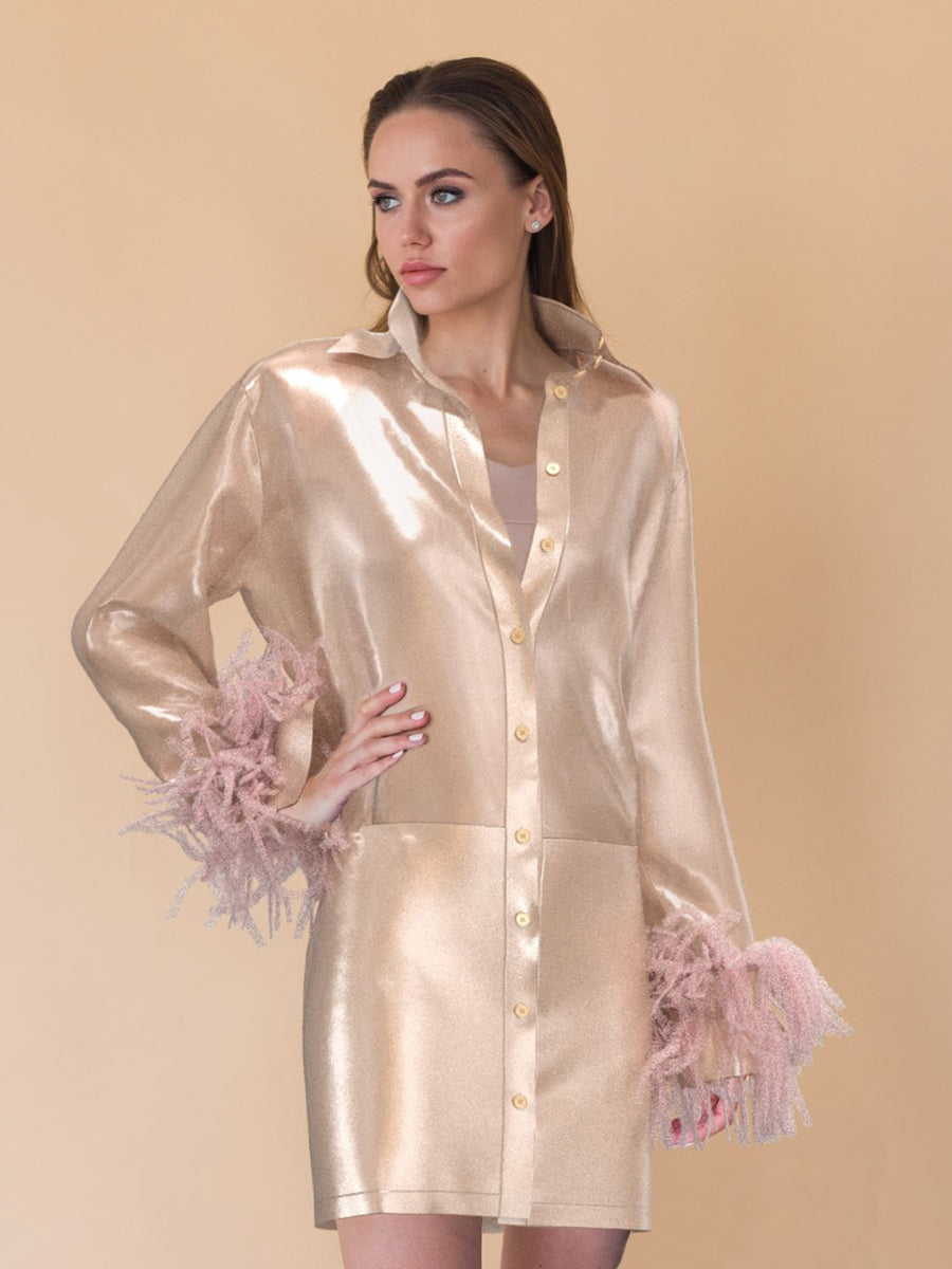 Silk organza shirt dress Silk organza shirt dress