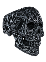 Quantum Skull Ring