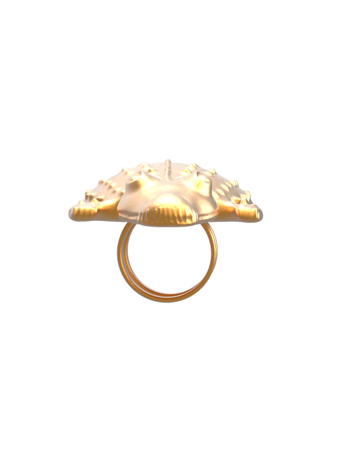 AKAN CROCODILE RING