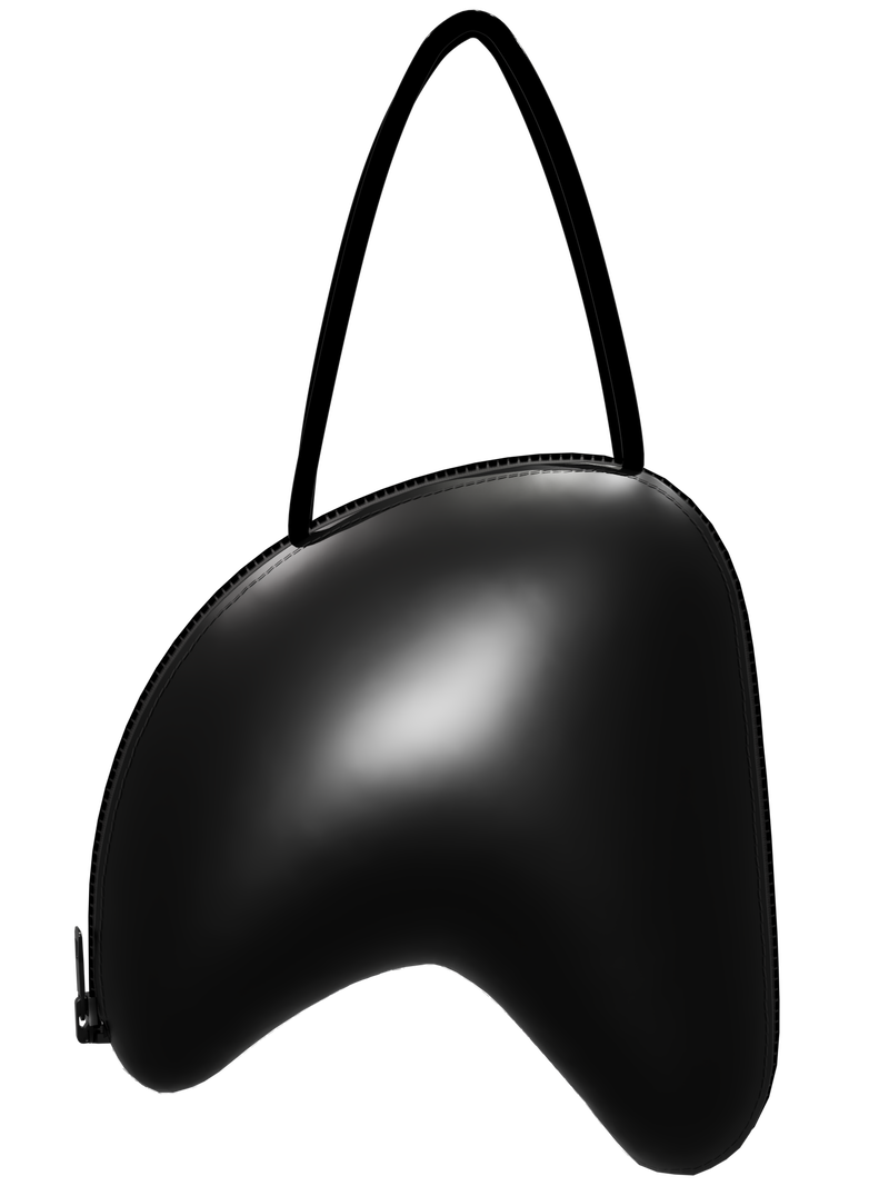 Black elegance bag