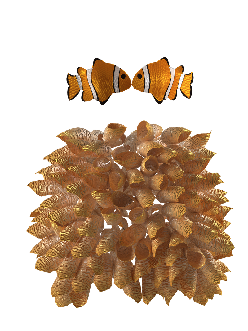 Clownfish Love