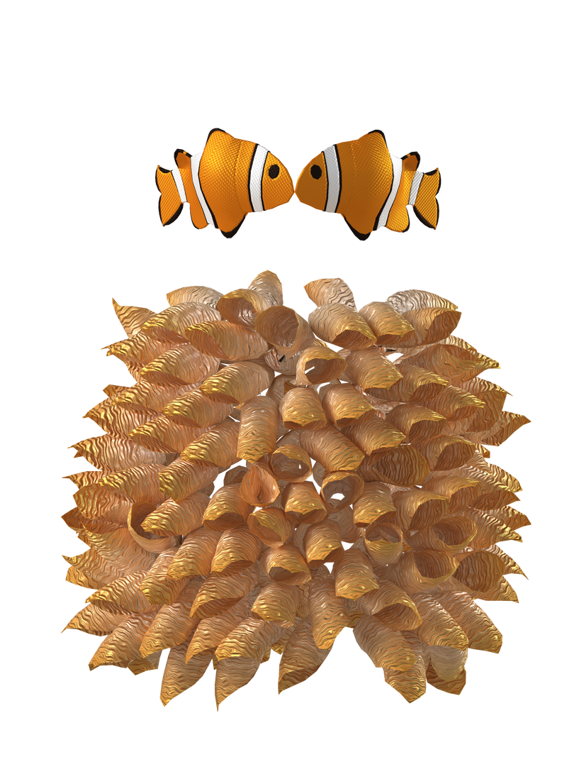 Clownfish Love