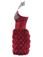 Stellar Crimson Red Dress