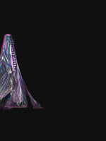 Holographic Niqab