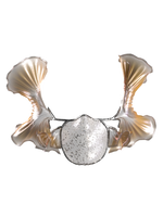 Crossota muzzle
