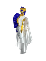 Soficor3d: Digital Homage