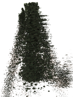 The Forest