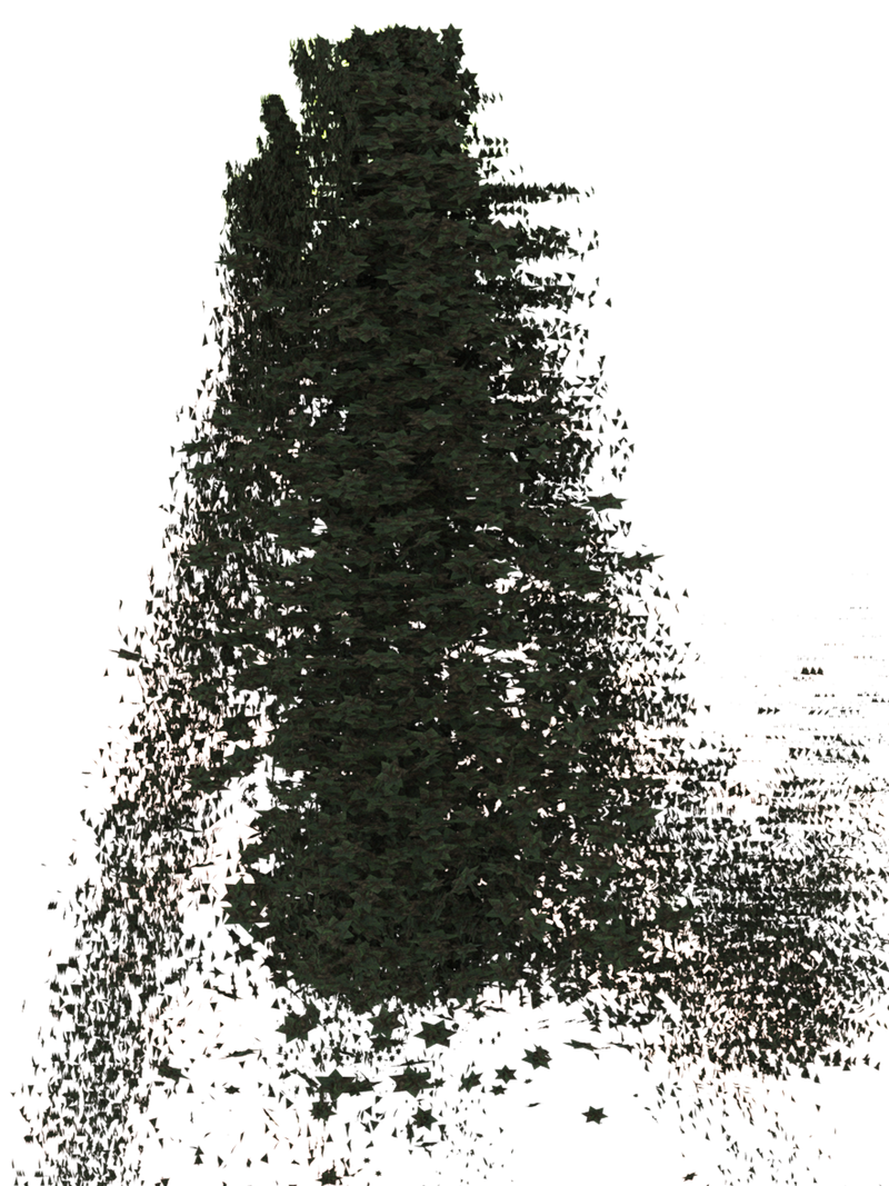 The Forest