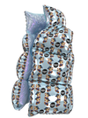 Playbear
