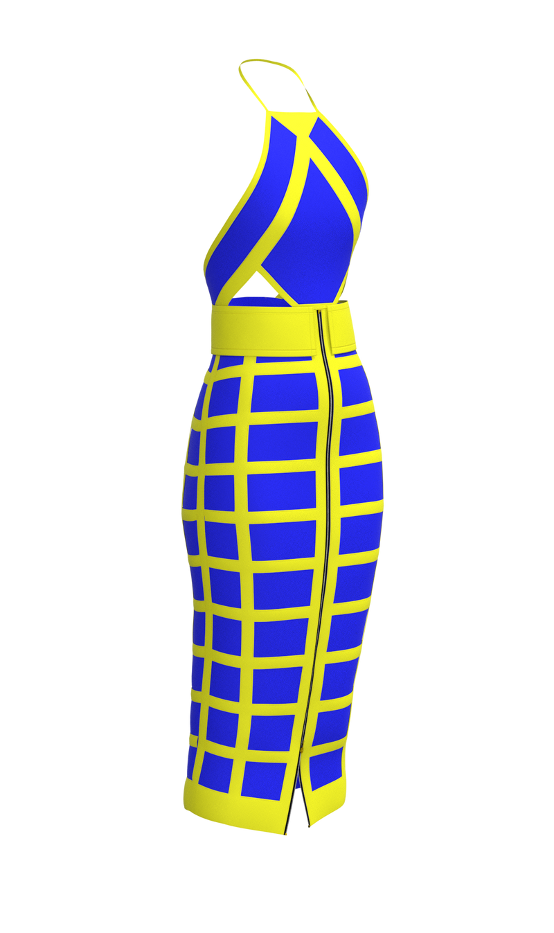 Rose dress