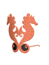 Sea Horse Shades - Orange