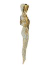 TIGER JUMPSUIT
