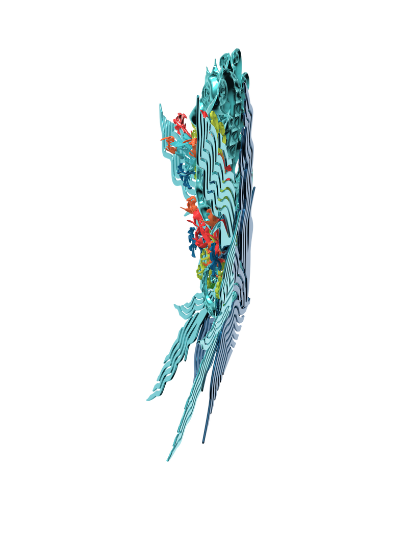 Sea Horse Back Accessories