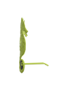 Sea Horse Shades - Green