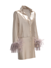 Silk organza shirt dress