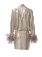 Silk organza shirt dress