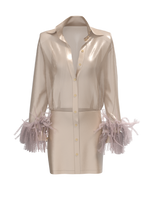 Silk organza shirt dress