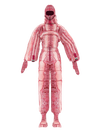 Athalia Lewartowski: overallPink