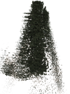 The Forest