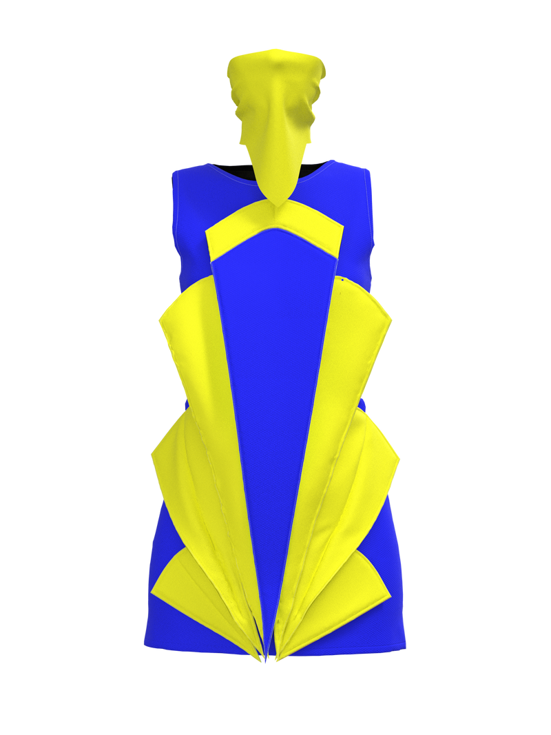 Aster dress