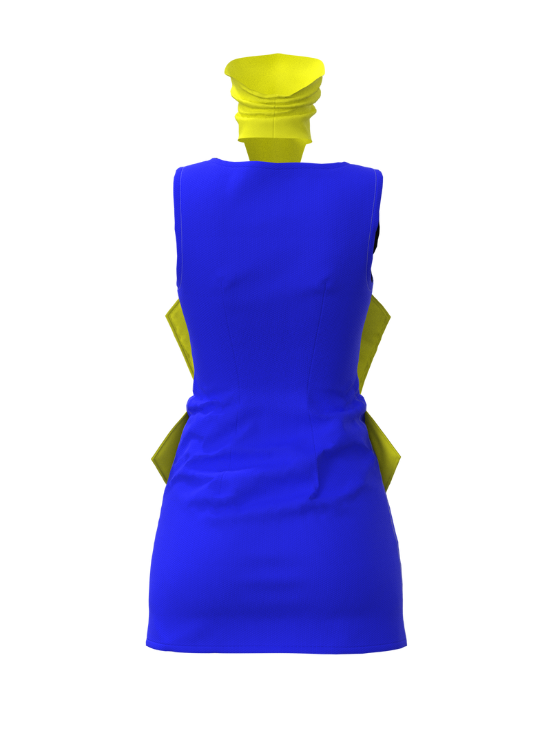 Aster dress
