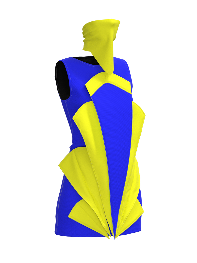 Aster dress