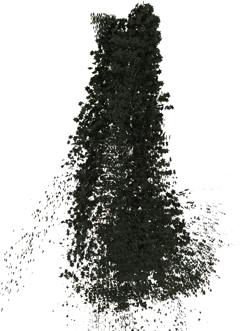 The Forest