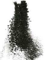 The Forest