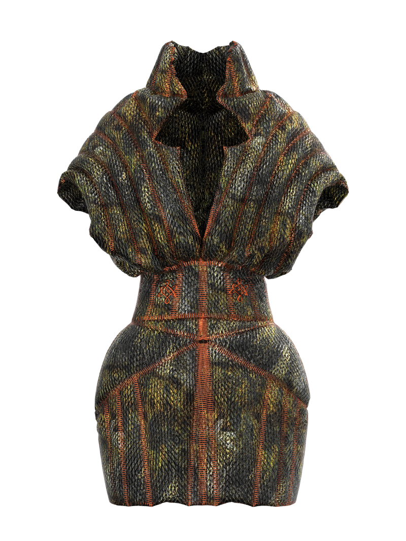 Fortune Protopian Dress