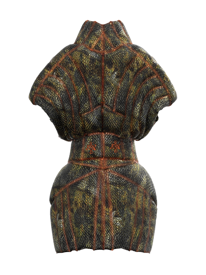 Fortune Protopian Dress