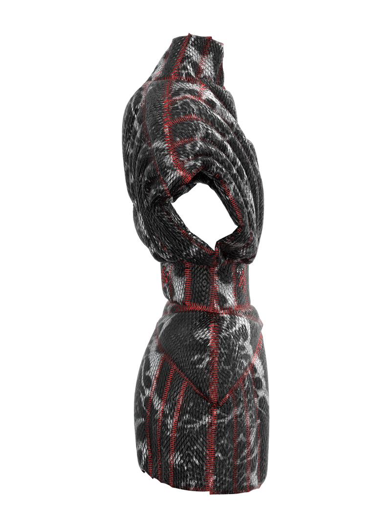 Intuition Protopian Dress