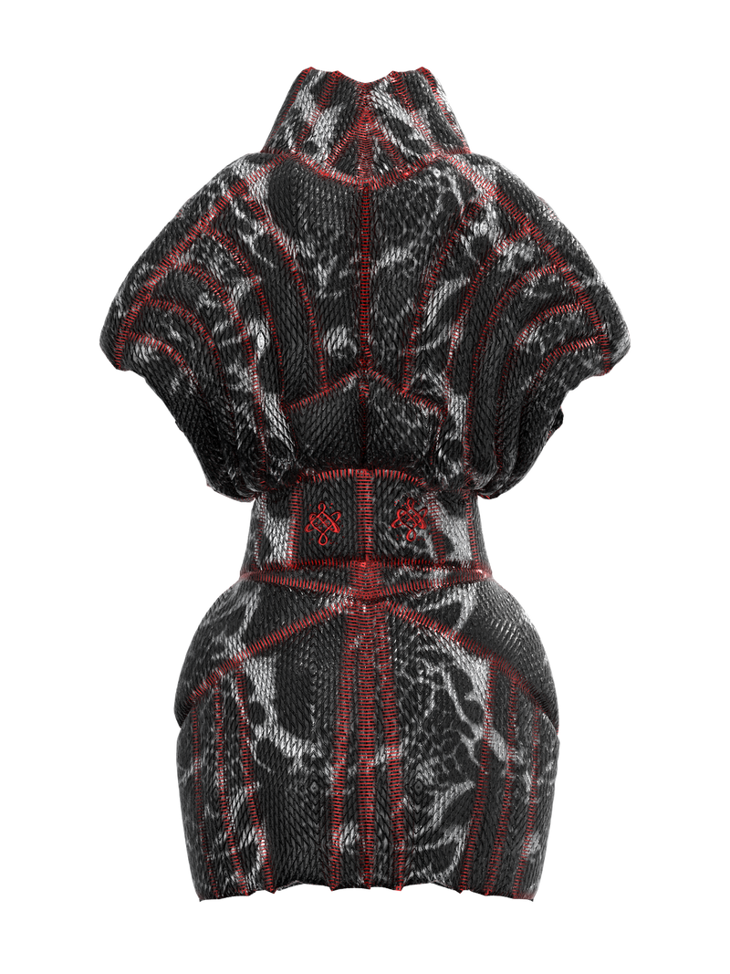 Intuition Protopian Dress