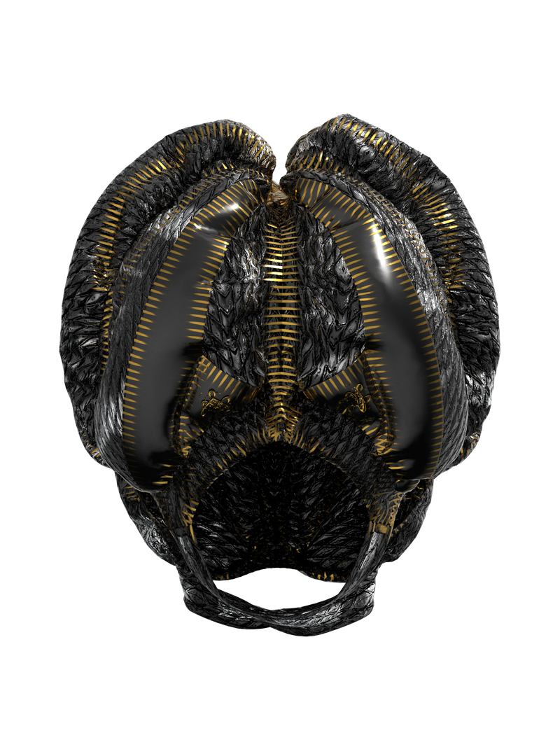 Empowerment Protopian Helmet Goggles