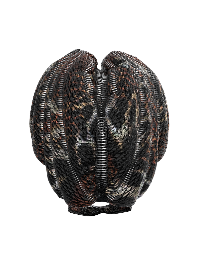 Vitality Protopian Helmet Goggles