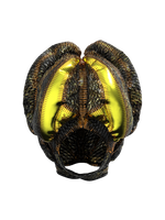 Fortune Protopian Helmet Goggles
