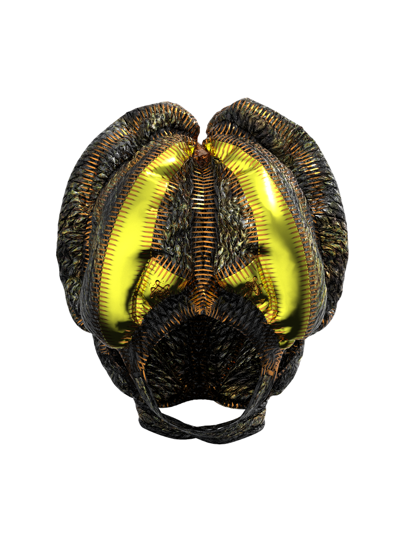 Fortune Protopian Helmet Goggles