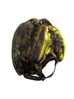 Fortune Protopian Helmet Goggles