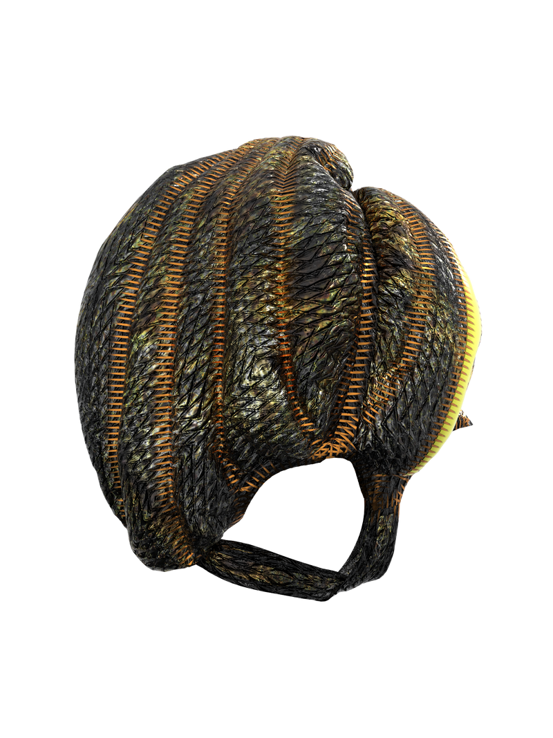 Fortune Protopian Helmet Goggles