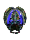 Happiness Protopian Helmet Goggles
