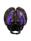 Metamorphosis Protopian Helmet Goggles