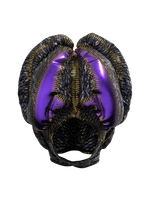 Metamorphosis Protopian Helmet Goggles