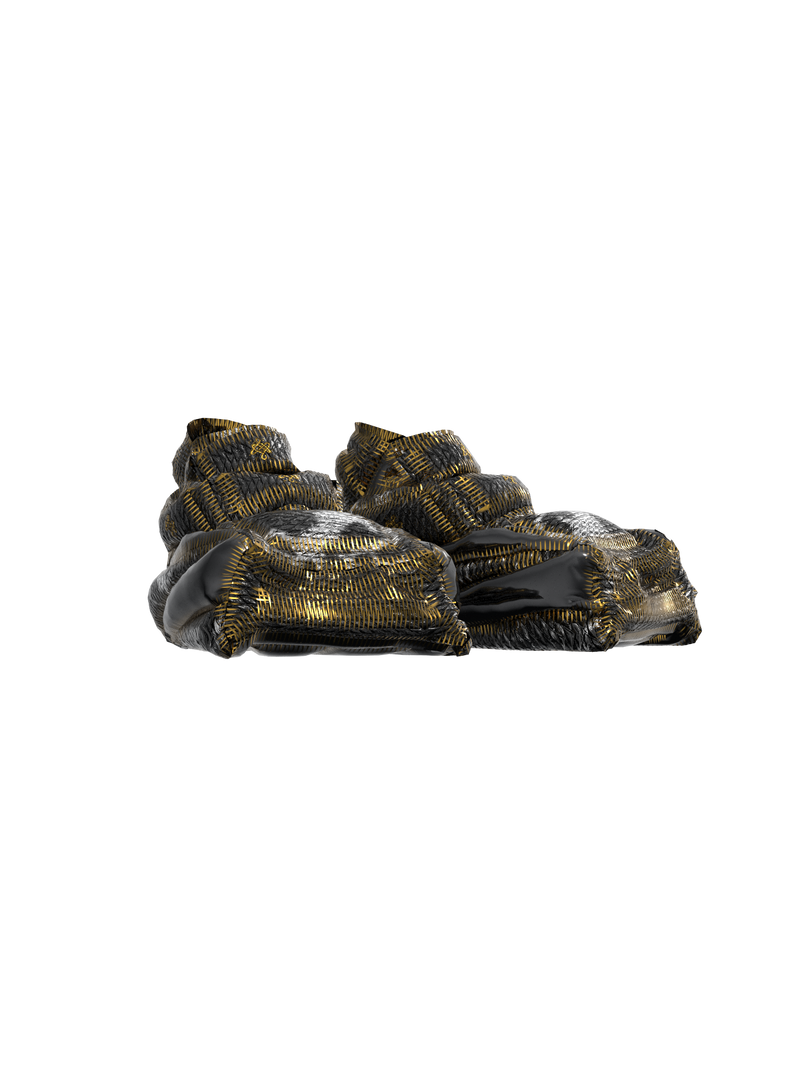 Empowerment Protopian Sneakers