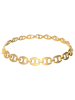 The Gold Link Anchor Choker