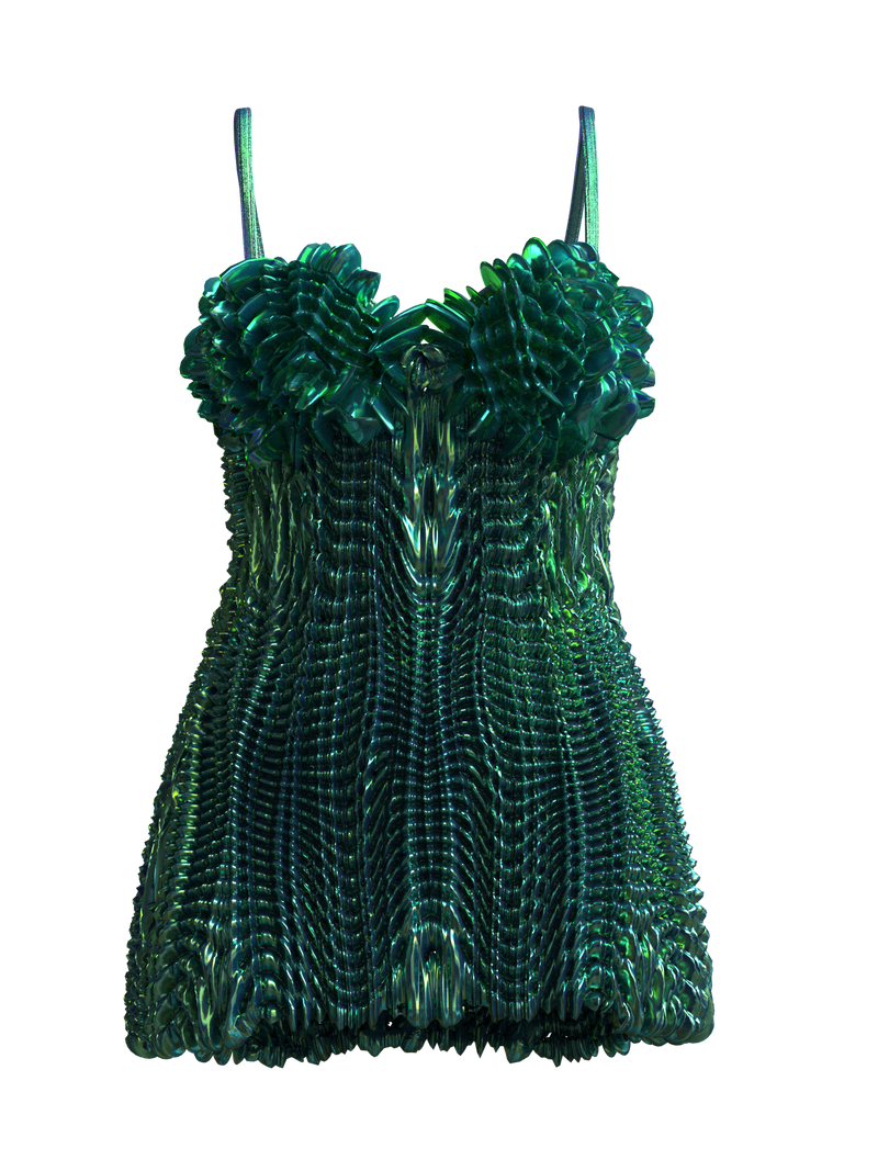 BioMechanical Dress