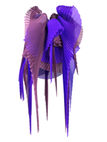 Pleated wings purple