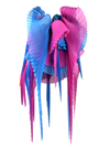 Pleated wings pink/blue