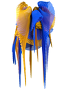 Pleated wings yellow/blue