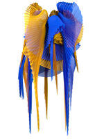 Pleated wings yellow/blue