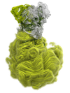 CYCLOTELLA