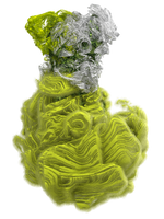 CYCLOTELLA
